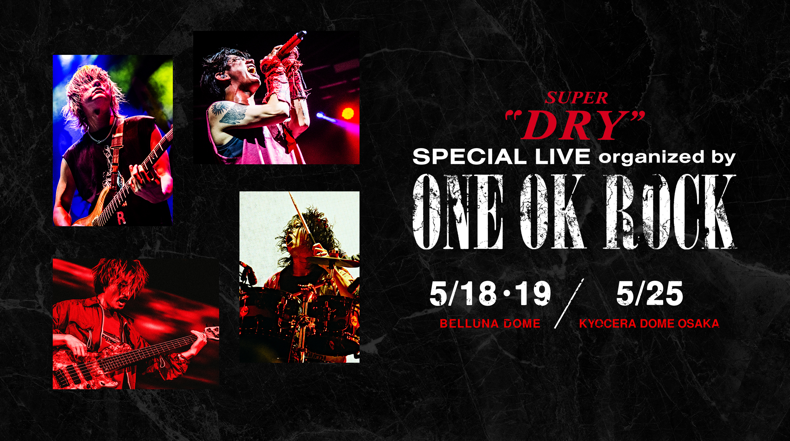 ONE OK ROCK official website